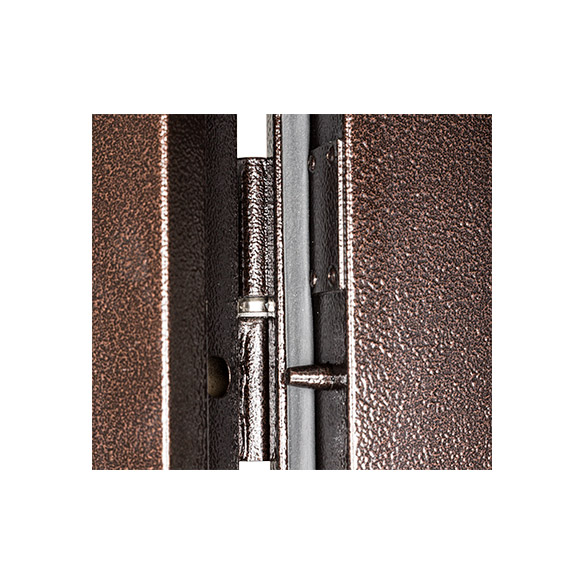 door_inc_21_3
